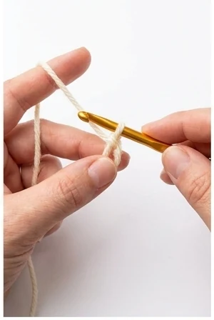 Slip knot step 2: Insert the hook