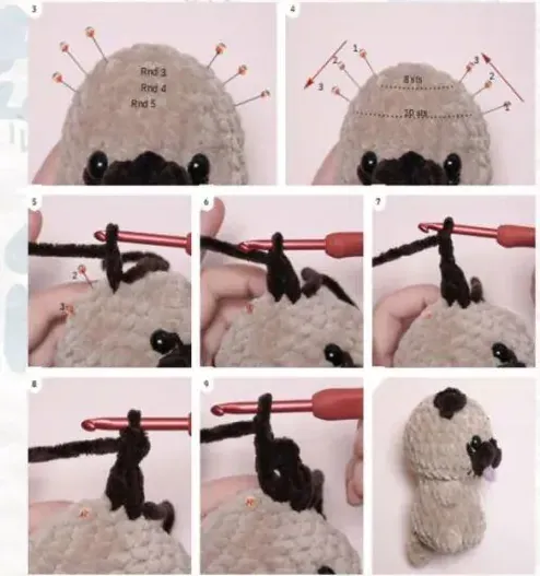 Pug ear position markers and dark ear construction close-ups