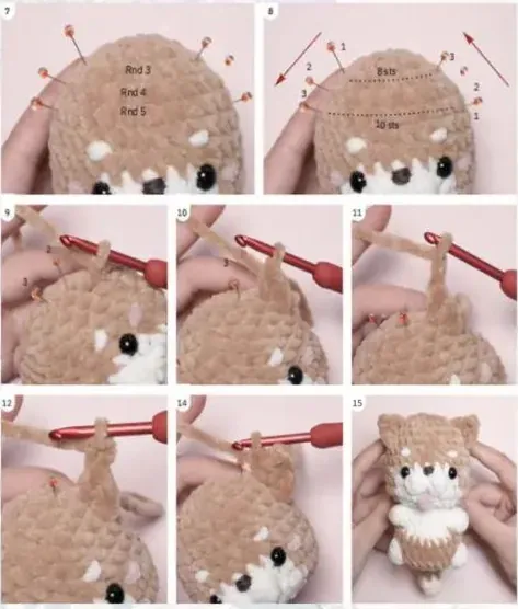 Shiba ear placement and pointed ear construction in six reference panels